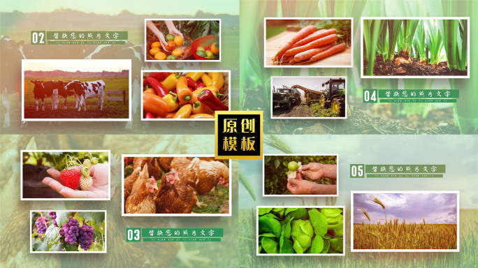 105图绿色生态农业图片展示包装