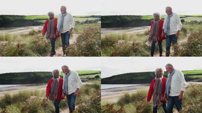 老年夫妇手牵着手走在海岸小路上