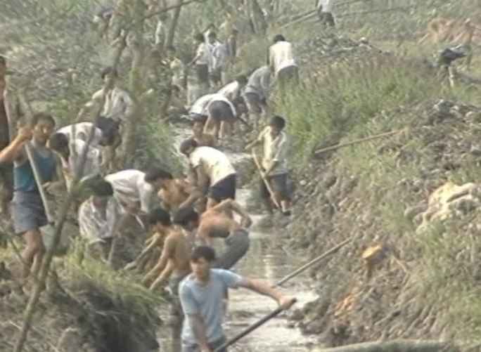 九零年代温江县改造农田