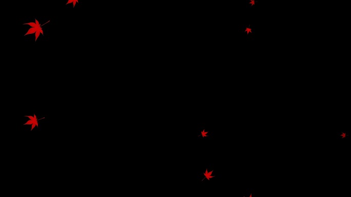 少量红枫叶视频——无缝循环播放