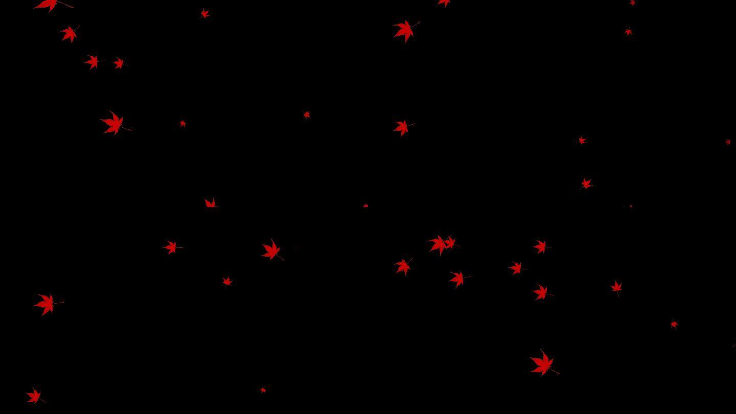 少量红枫叶视频——无缝循环播放