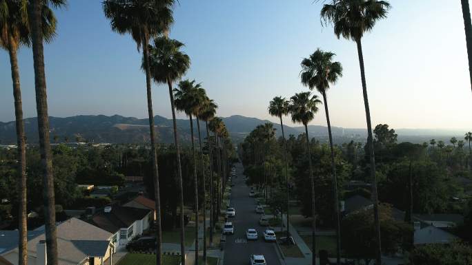 洛杉矶日落时分棕榈树成荫的街道