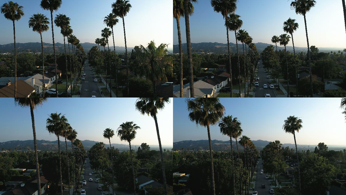 洛杉矶日落时分棕榈树成荫的街道