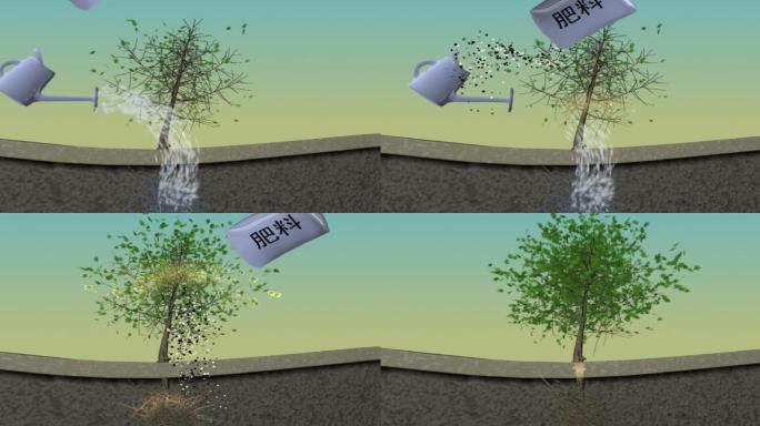 浇水施肥 浇水 施肥  生长