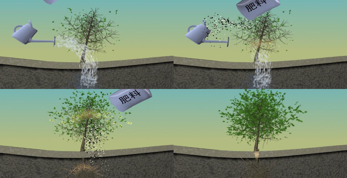 浇水施肥 浇水 施肥  生长