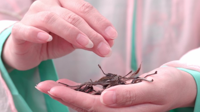 古装美女挑选普洱茶