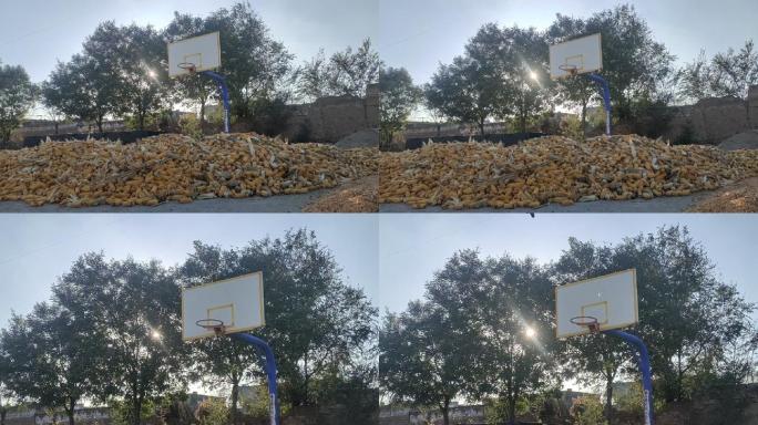 农村 学校荒废 破旧 玉米堆 篮球架