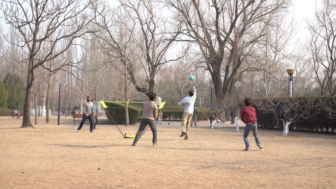 公园里外国人打排球