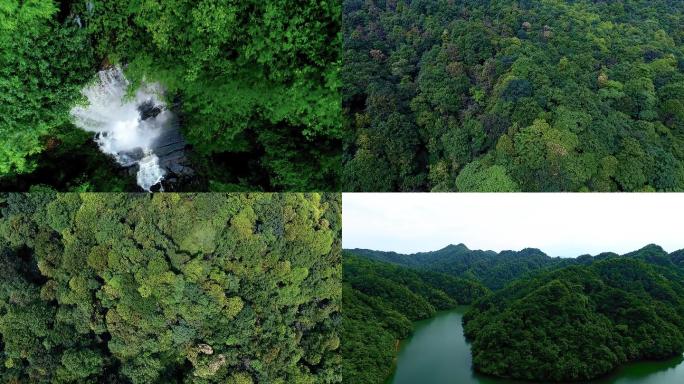 4K原始森林航拍 生态环境 青山绿水