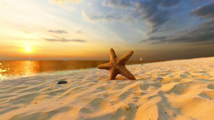 海边一只海星立在沙滩上，迎着日出霞光万丈