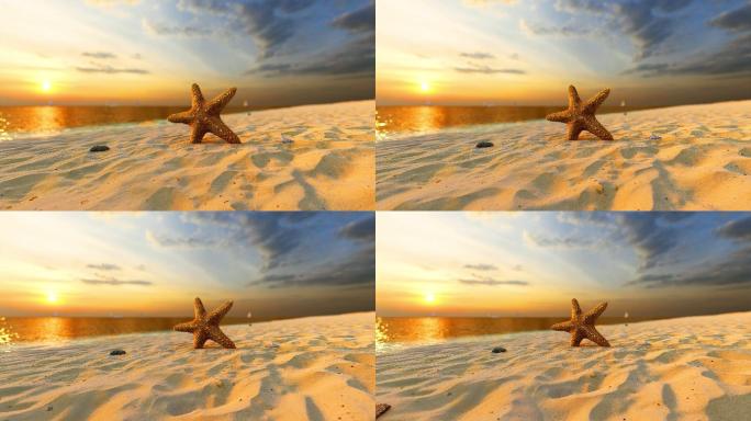 海边一只海星立在沙滩上，迎着日出霞光万丈