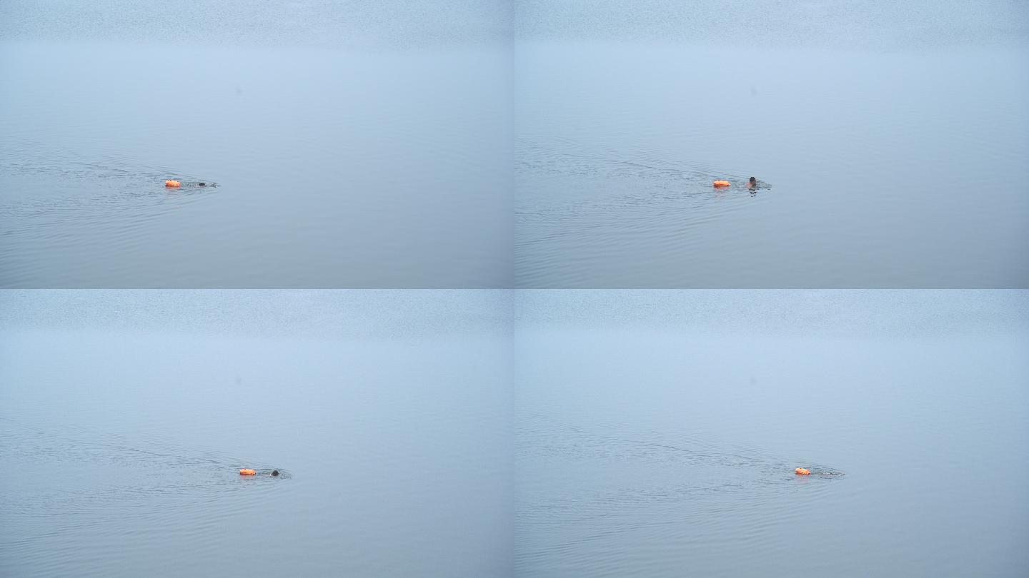 冬泳者穿着安全设施在湖里游泳4K