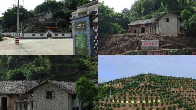 沙田柚发源地，夏纪纲故居