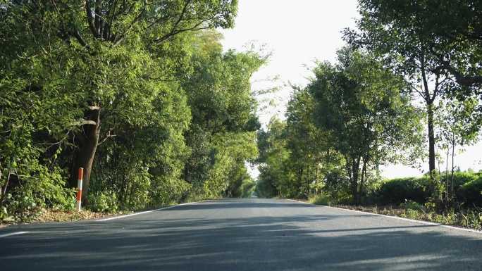 马路 小路 村道 回家 行走 光影 农村