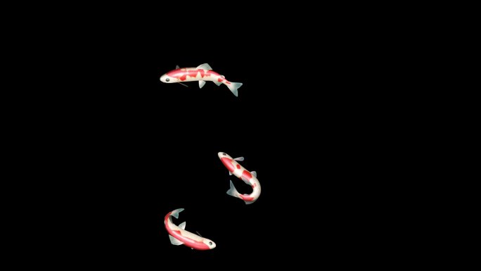 【透明通道】三条鱼