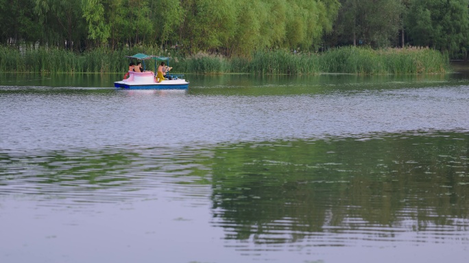 【8K正版素材】自然湖水绿树小船 全景