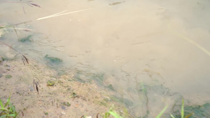 湖水江水浪花拍岸