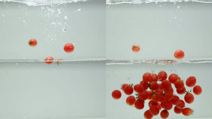 小番茄升格入水