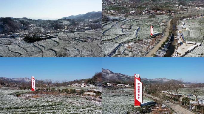 信阳毛尖源产地中国最美茶乡雪景