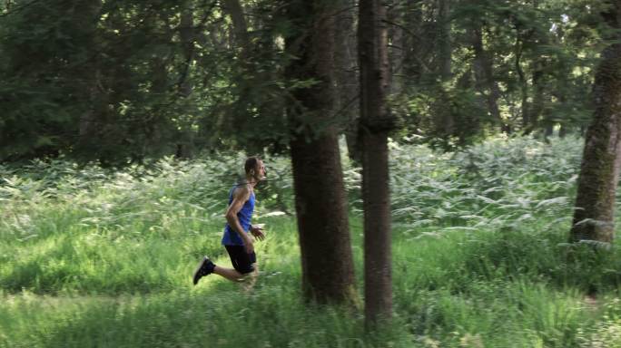 在森林中跑步的男人