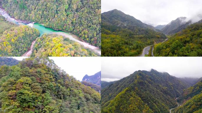 巴中光雾山米仓山红叶林秋色树林大自然风景