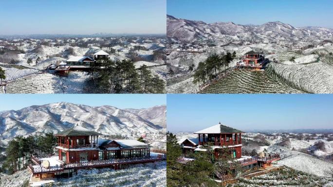 信阳毛尖绿茶茶乡雪景