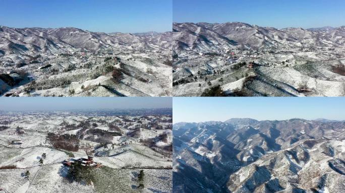 信阳毛尖茶乡茶园雪景