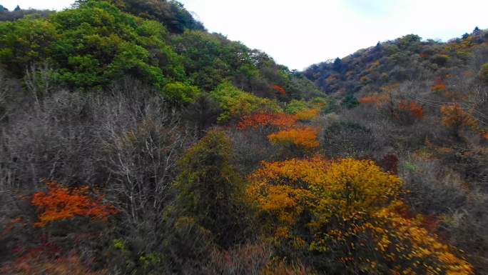 航拍陕西西安秦岭分水岭秋景4K