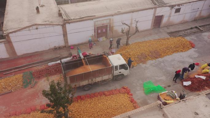 农村街道机械脱粒玉米