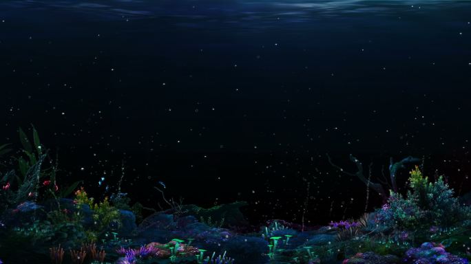 海底珊瑚发光鱼群