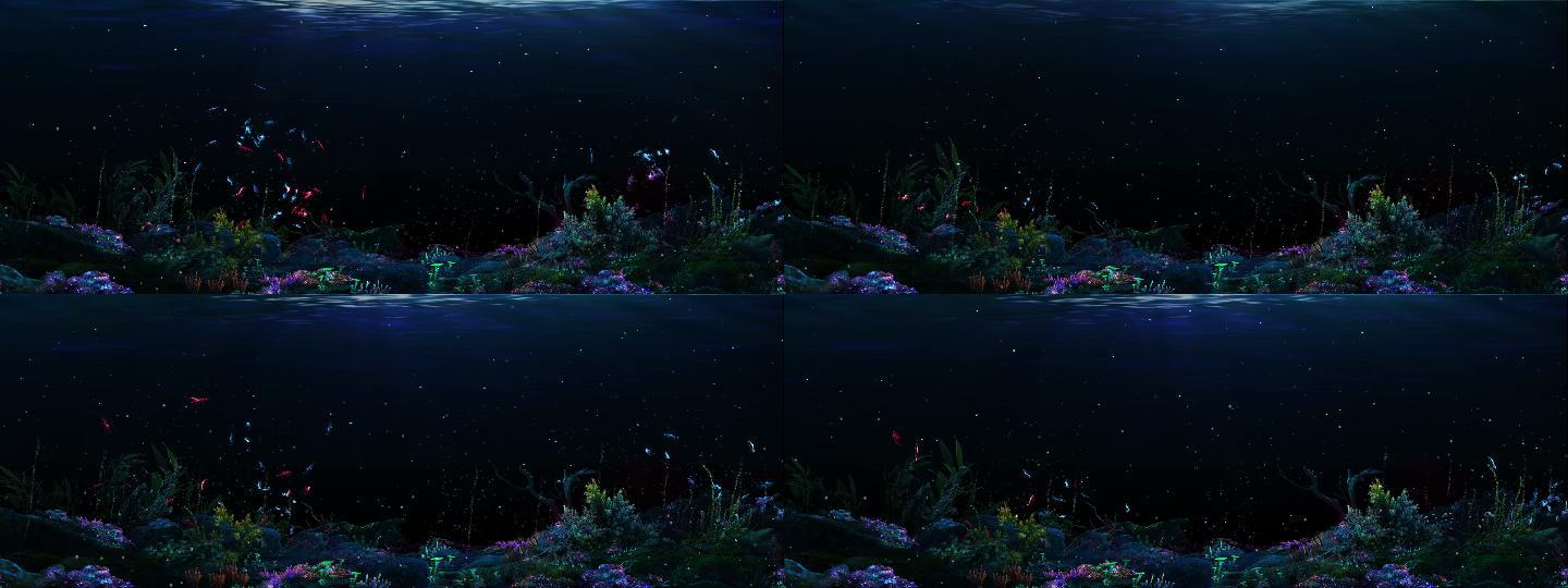 海底珊瑚发光鱼群