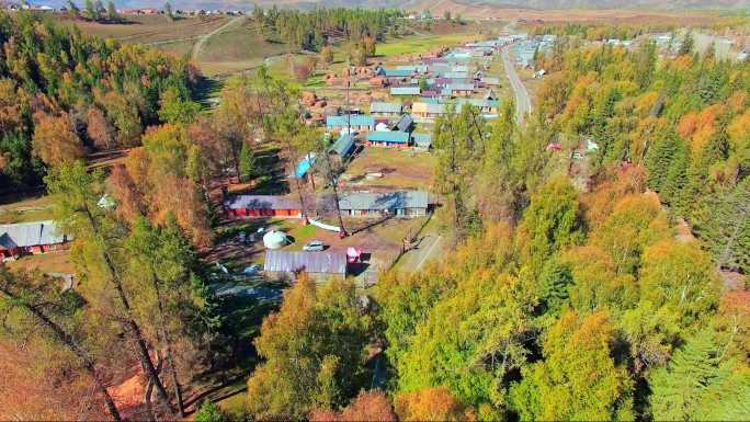 白哈马村 新疆