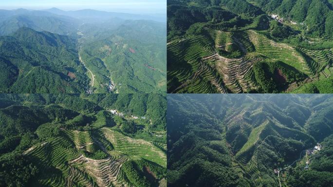 绵延不绝大山镜头