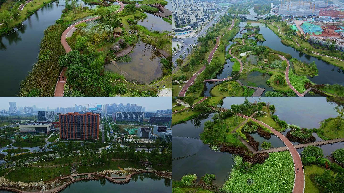 成都 公园城市 天府新区鹿溪河绿道.