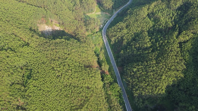 佛山皂幕山森林风景区井大线