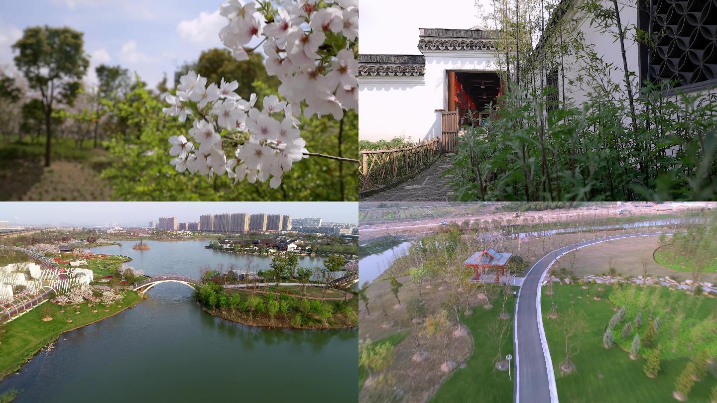 宁波植物园春季素材