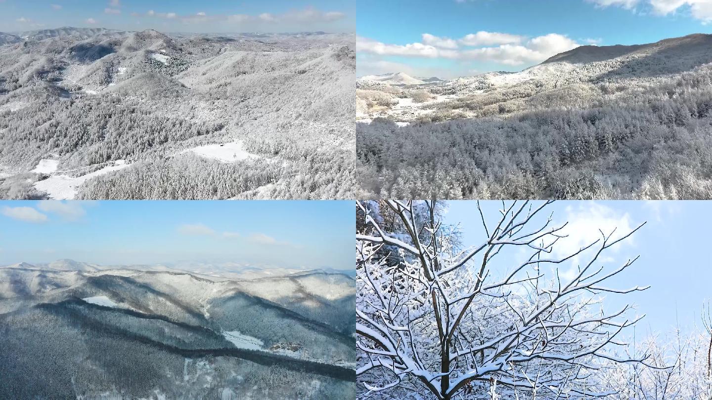 林海雪原冰雪世界雪森林