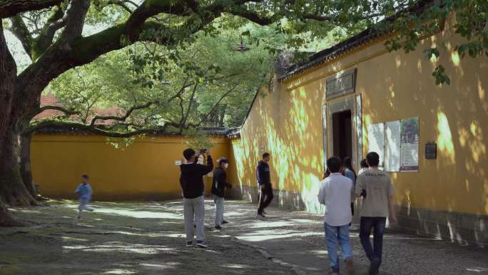 寺庙 西园寺 文化 宗教