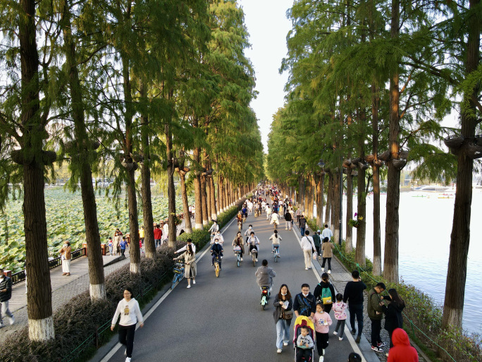 武汉东湖环湖绿道骑单车散步
