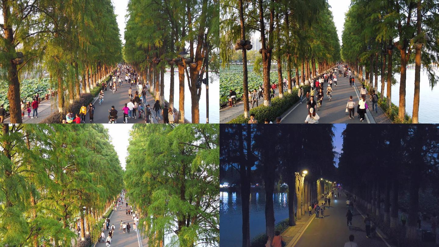 武汉东湖环湖绿道骑单车散步