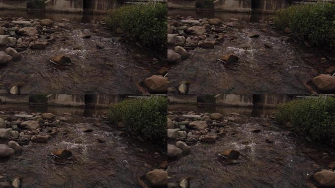 小溪 河流 岩石 流水 石头 河坝 水塘
