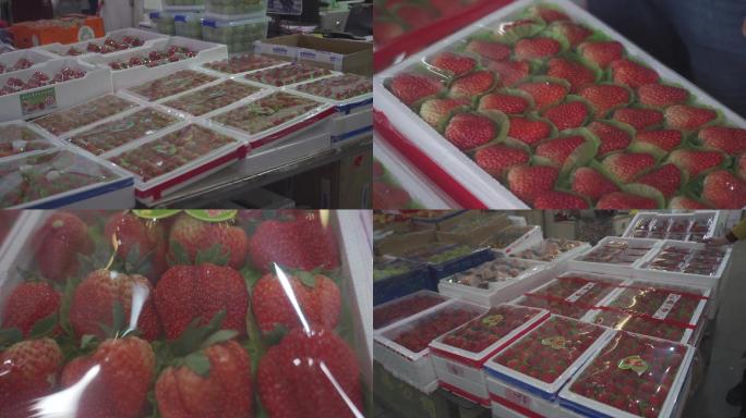 水果 草莓 牛奶草莓