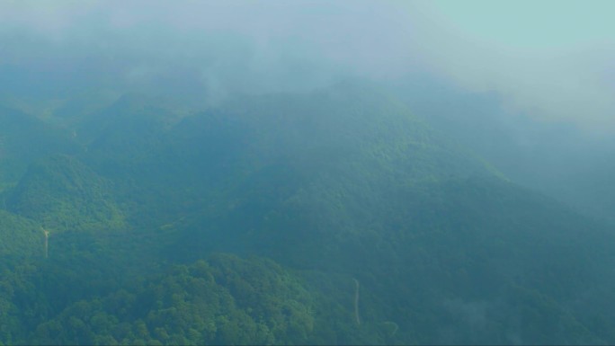 4k原始森林航拍宣传片素材大气震撼