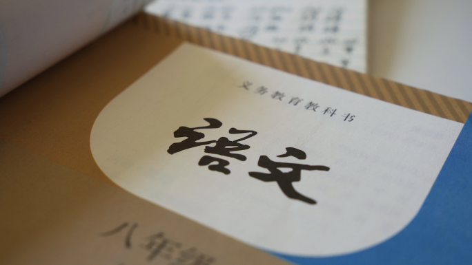 4K 初中语文 学生写作业