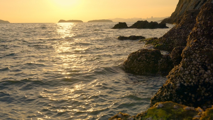 夕阳下的落潮海岸礁石风光