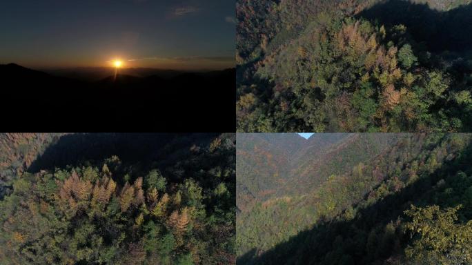 高清航拍彩叶，日出，大山清醒