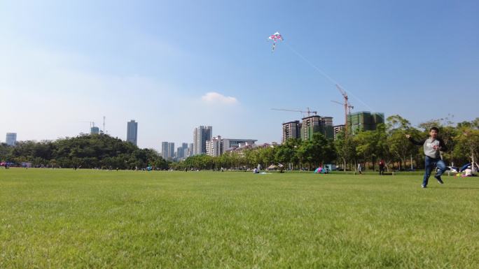 公园草坪草地放风筝