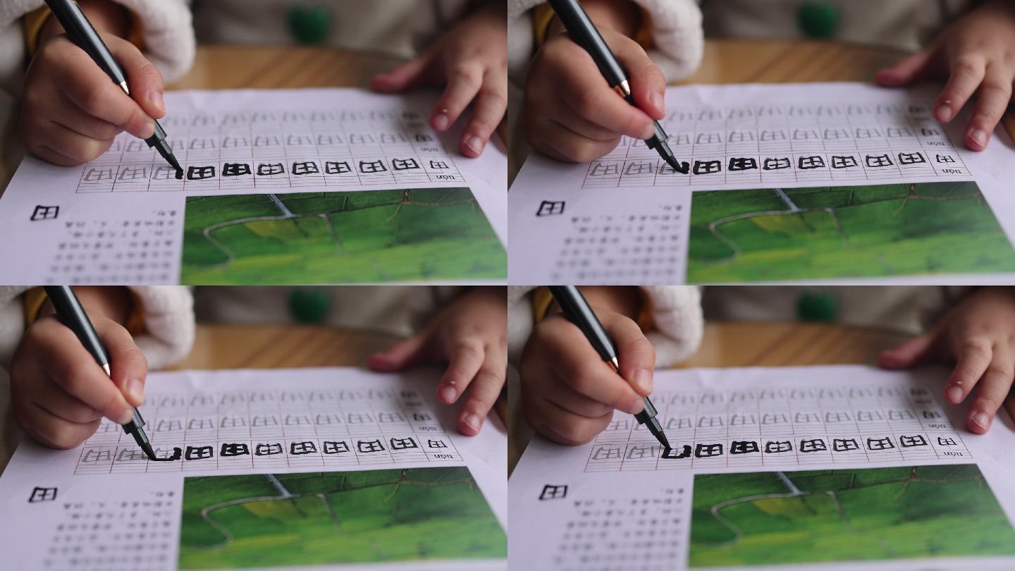 幼儿写汉字学习汉字甲骨文篆书楷书素材