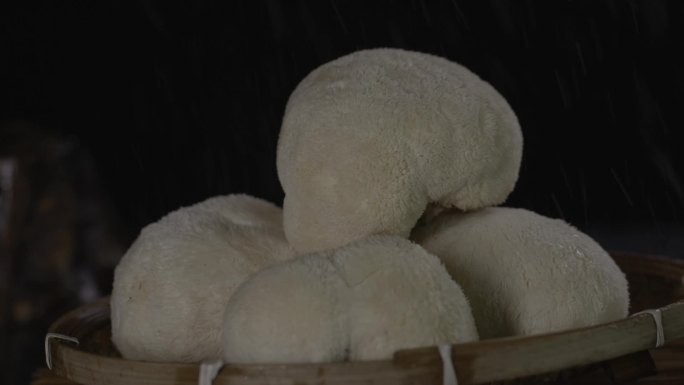 各种蘑菇棚拍素材雨滴黑背景摆拍