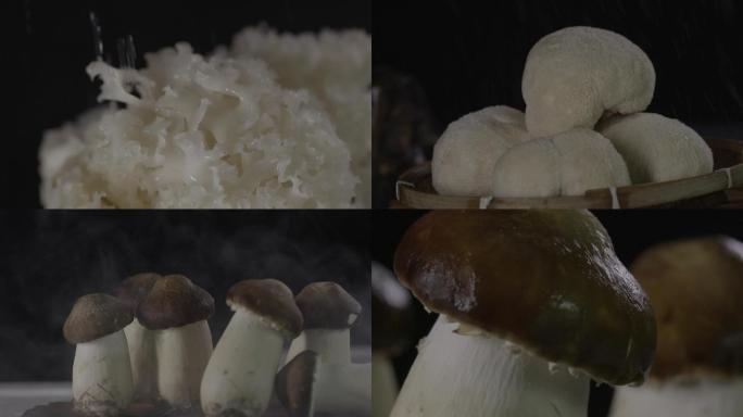各种蘑菇棚拍素材雨滴黑背景摆拍